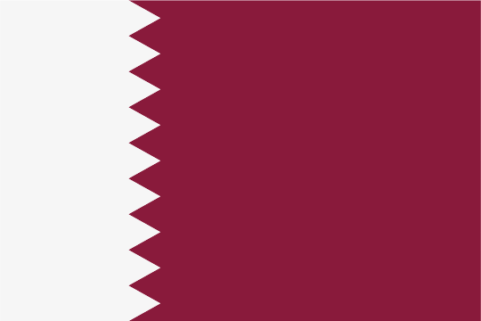 Players List - 【Qatar World Cup】Canada【Full Explanation】