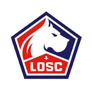 リール - 【サッカー】 22/23シーズン フランス・リーグアン　全20チーム紹介