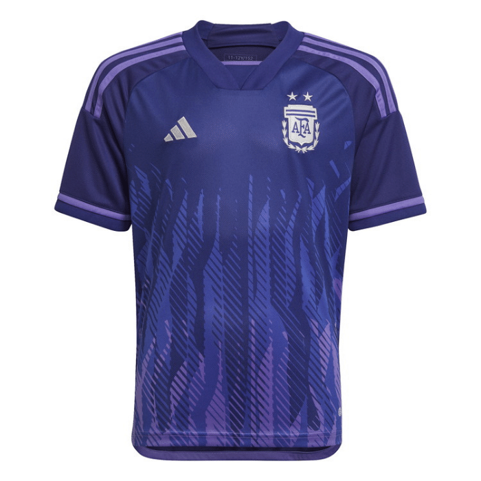監督 - 【カタールW杯】アルゼンチン代表（C組）【 チーム・選手・監督紹介＆フォーメーション・戦術解説】