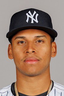選手一覧 - 【無料選手名鑑】ニューヨーク・ヤンキース（NYY）（アメリカンリーグ/東地区）【2025 チーム/選手/監督紹介】 (24)