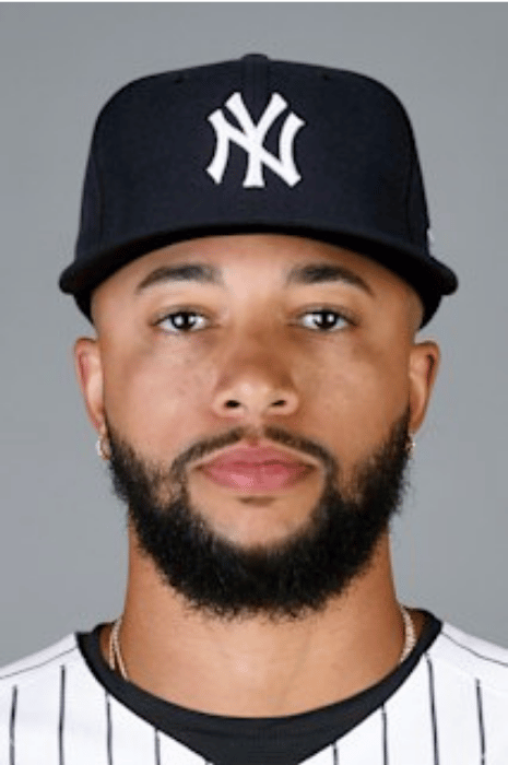 選手一覧 - 【無料選手名鑑】ニューヨーク・ヤンキース（NYY）（アメリカンリーグ/東地区）【2025 チーム/選手/監督紹介】 (9)